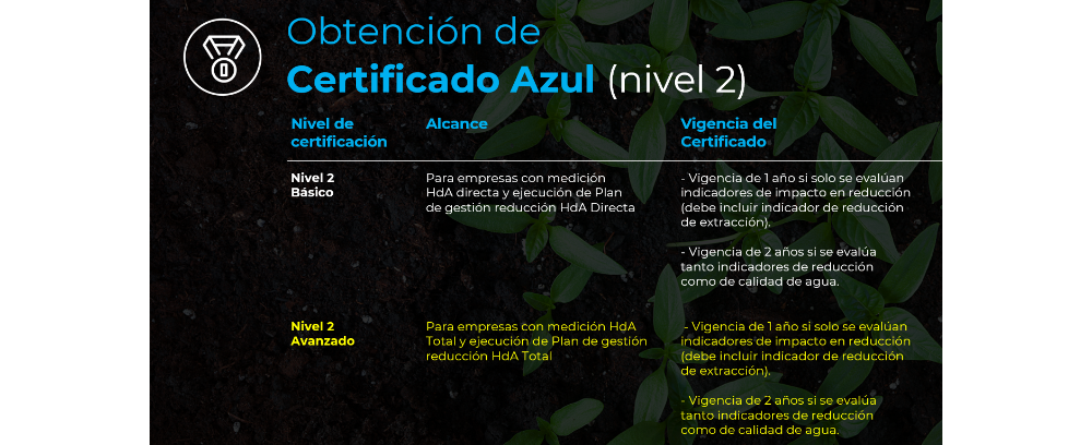 certificado_azul_2
